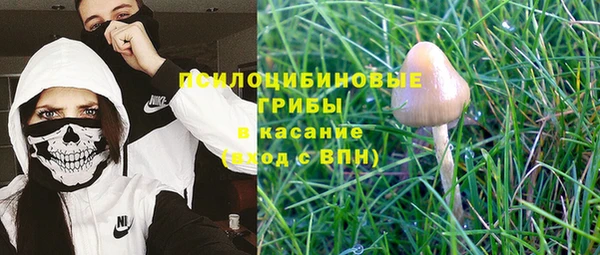 ГАЛЛЮЦИНОГЕННЫЕ ГРИБЫ Абдулино