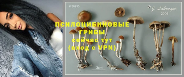 ГАЛЛЮЦИНОГЕННЫЕ ГРИБЫ Абдулино